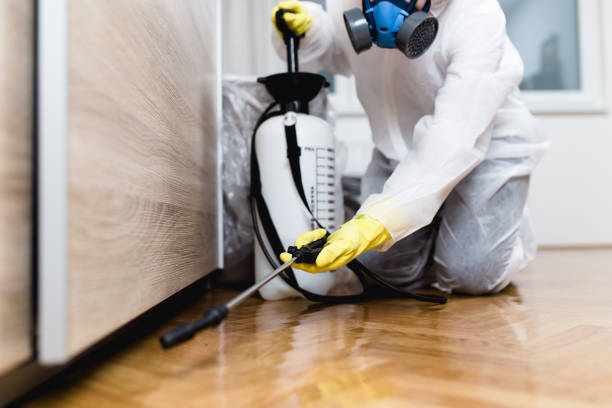 Best Termite Control Services  in Lake Lakengren, OH