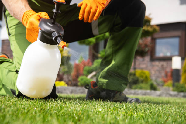 Best Insect Control  in Lake Lakengren, OH