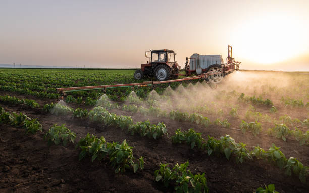 Best Ant Control Services  in Lake Lakengren, OH