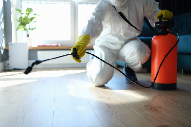 Professional Pest Control in Lake Lakengren, OH