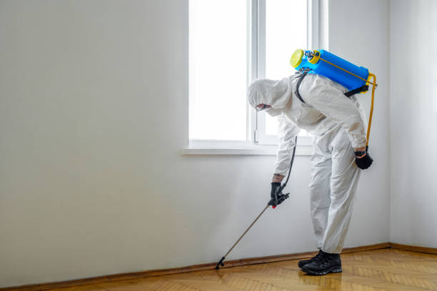 Pest Control for Restaurants in Lake Lakengren, OH