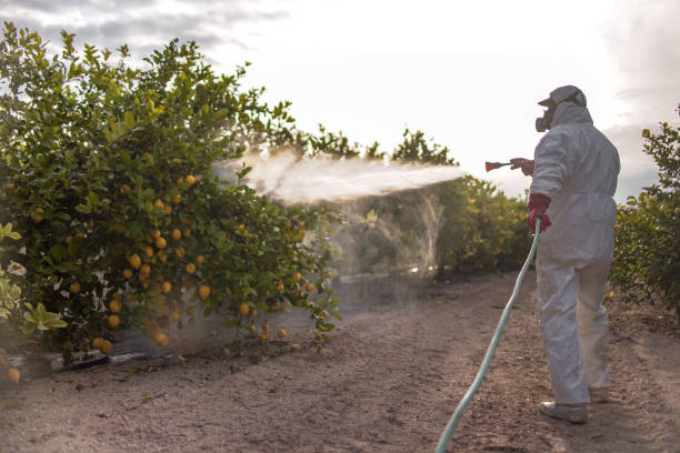 Flea Control Services in Lake Lakengren, OH