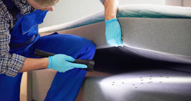 Best Pest Control Near Me  in Lake Lakengren, OH