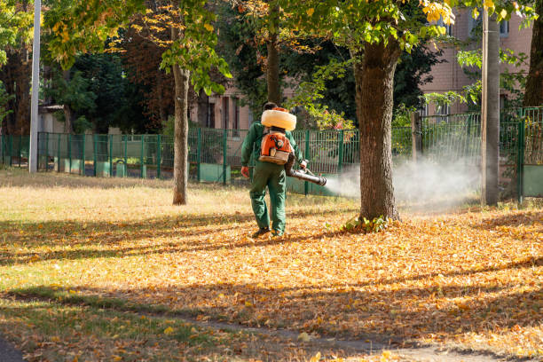 Best Termite Control Services  in Lake Lakengren, OH