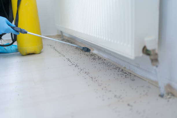Best Residential Pest Control  in Lake Lakengren, OH