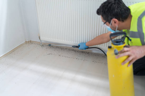 Best Best Pest Control Companies  in Lake Lakengren, OH